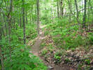 photo thumbnail #11