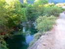 photo thumbnail #2