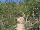photo thumbnail #8