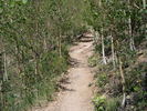 photo thumbnail #9