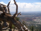 photo thumbnail #10