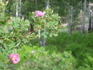Featured Full Photo
