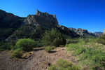 photo thumbnail #1