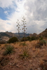 photo thumbnail #15