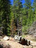 photo thumbnail #5