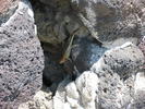 photo thumbnail #13