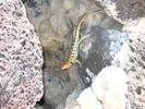 photo thumbnail #14