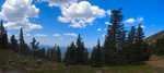 photo thumbnail #7