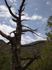 photo thumbnail #9