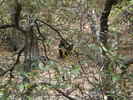 photo thumbnail #12
