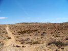 photo thumbnail #12