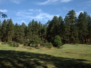 recent photo