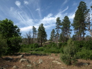 recent photo