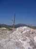 photo thumbnail #15