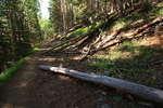 photo thumbnail #3