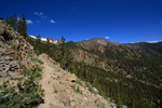 photo thumbnail #6