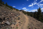 photo thumbnail #7