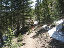 photo thumbnail #2