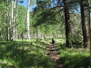 photo thumbnail #5