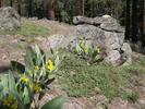 photo thumbnail #3