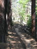 photo thumbnail #4