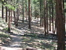 photo thumbnail #7