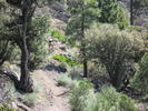photo thumbnail #8