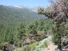 photo thumbnail #9