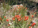 photo thumbnail #10