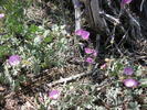 photo thumbnail #15