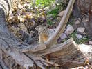 photo thumbnail #8