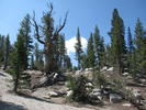 photo thumbnail #6