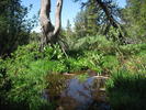 photo thumbnail #8