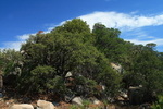 photo thumbnail #6