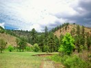 photo thumbnail #3