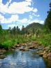 photo thumbnail #5