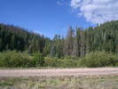 photo thumbnail #2