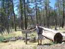 photo thumbnail #9