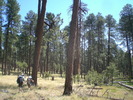 photo thumbnail #10