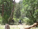 photo thumbnail #11