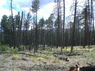 photo thumbnail #13