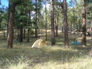 photo thumbnail #14