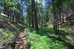 photo thumbnail #8