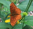 photo thumbnail #10