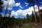photo thumbnail #13