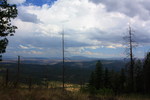 photo thumbnail #15