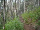 photo thumbnail #5