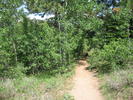 photo thumbnail #1