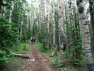 photo thumbnail #4