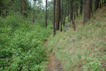 photo thumbnail #7